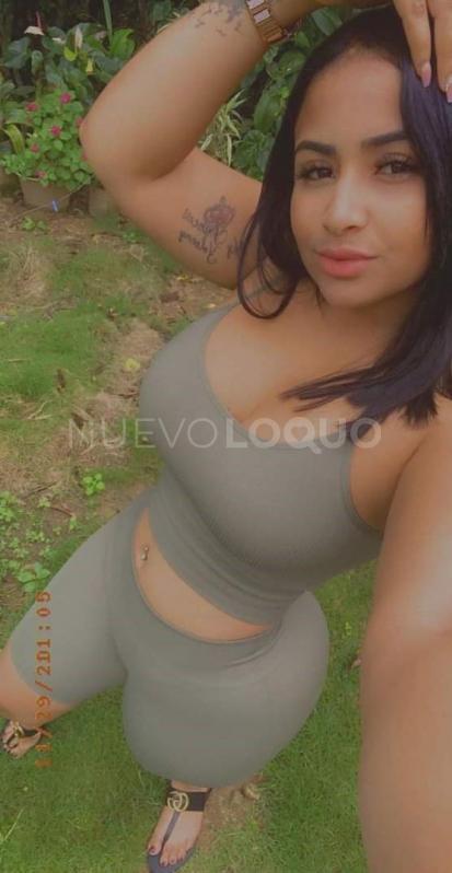 NuevoLoquo3