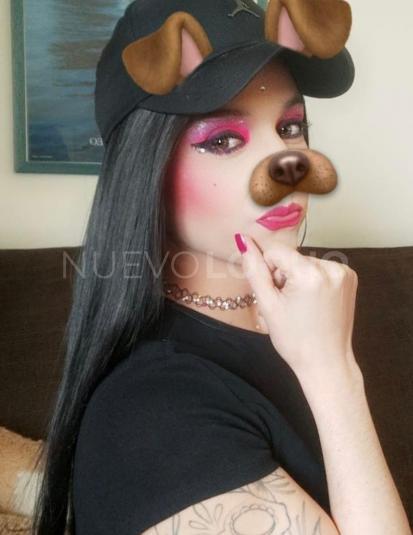 NuevoLoquo2