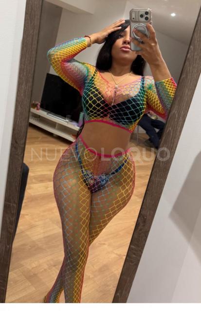 NuevoLoquo3