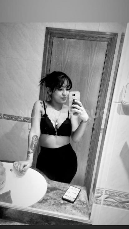 NuevoLoquo3