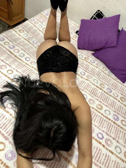 NuevoLoquo4