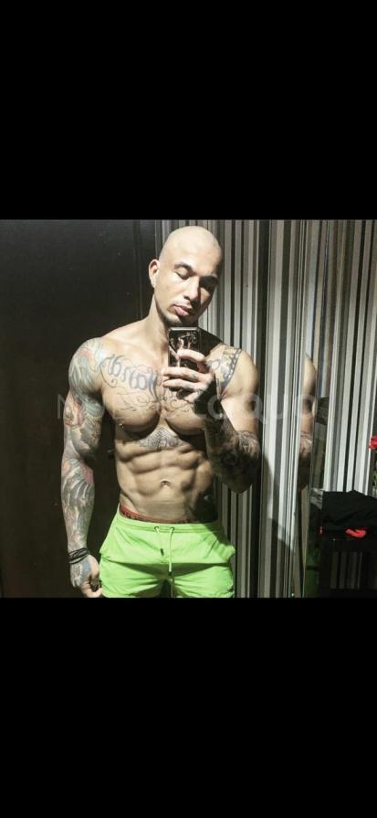 NuevoLoquo3