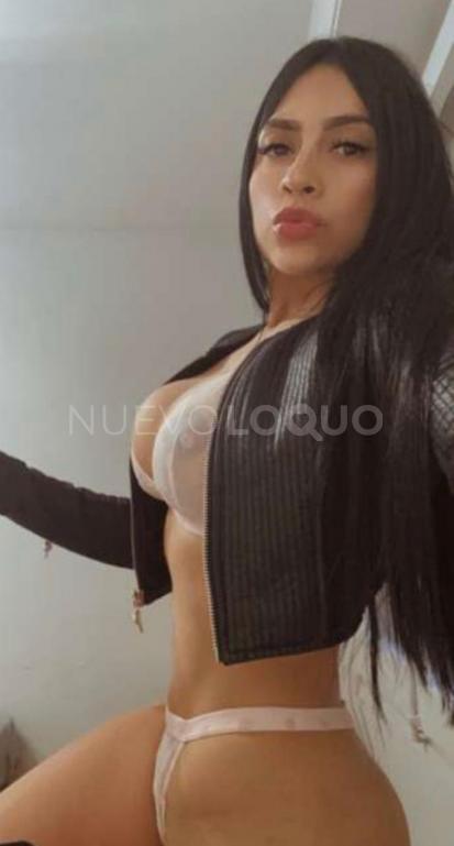 NuevoLoquo4