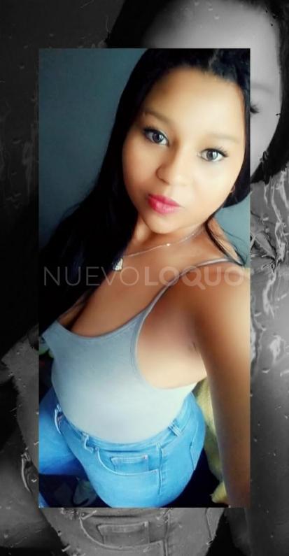 NuevoLoquo2