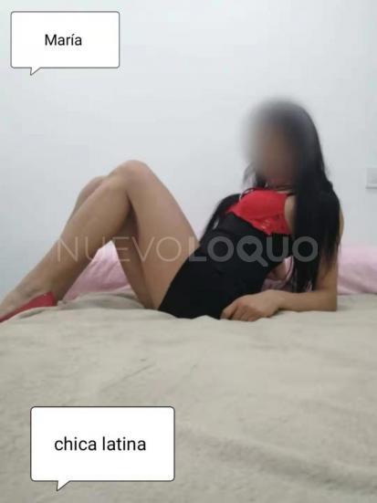 NuevoLoquo3