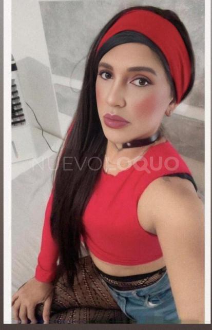 NuevoLoquo4