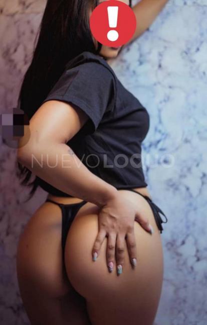 NuevoLoquo2