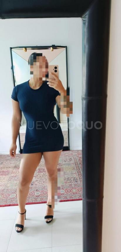 NuevoLoquo2
