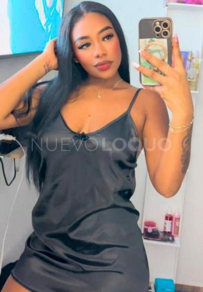 NuevoLoquo1