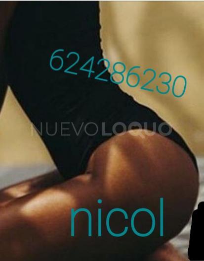 NuevoLoquo1