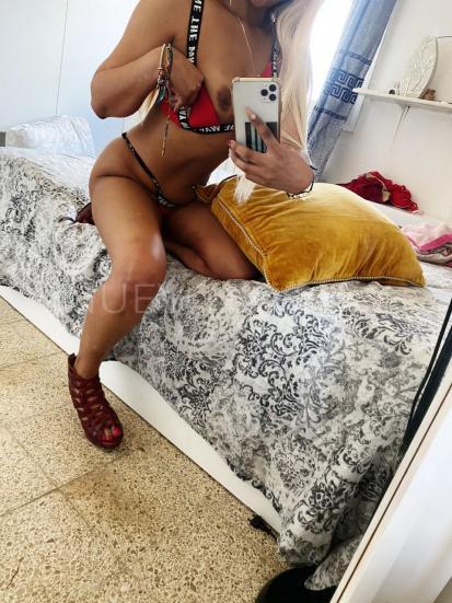 NuevoLoquo2