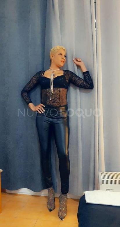 NuevoLoquo3