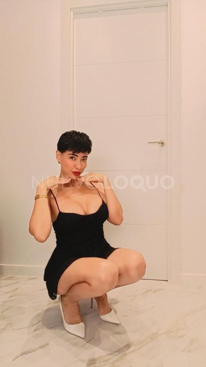 NuevoLoquo3