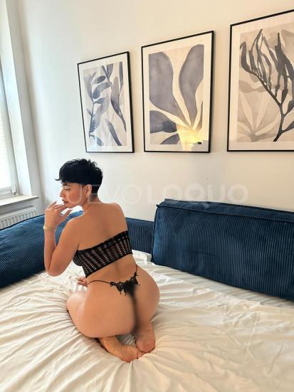 NuevoLoquo3