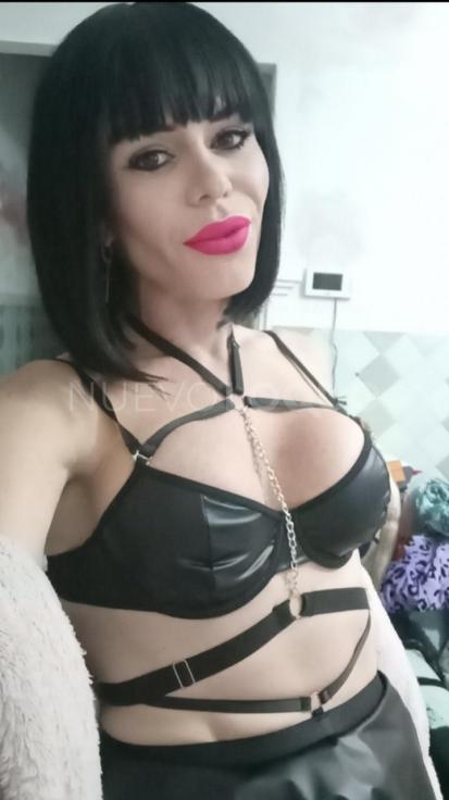 NuevoLoquo4