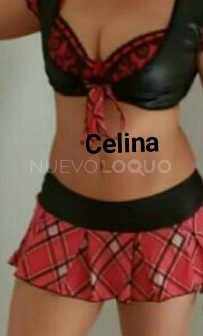 NuevoLoquo1
