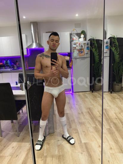 NuevoLoquo2
