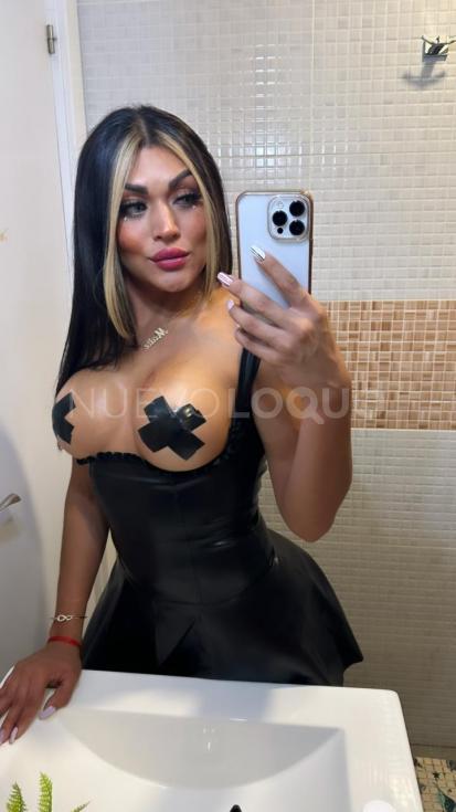 NuevoLoquo3