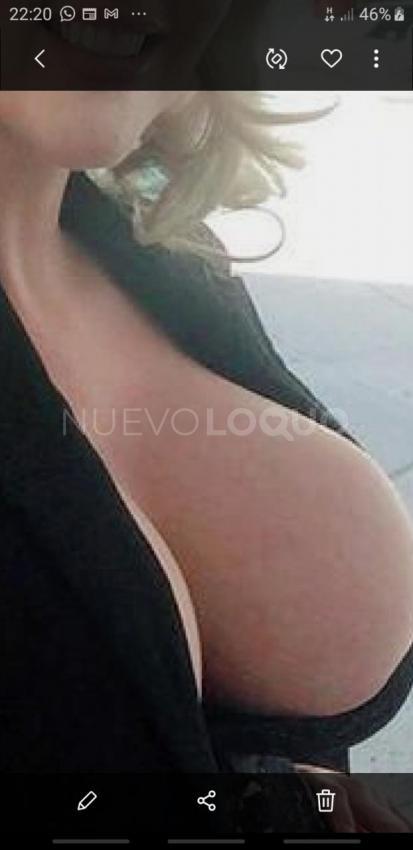 NuevoLoquo3