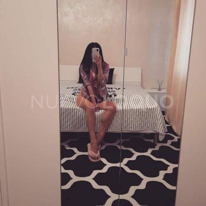 NuevoLoquo3