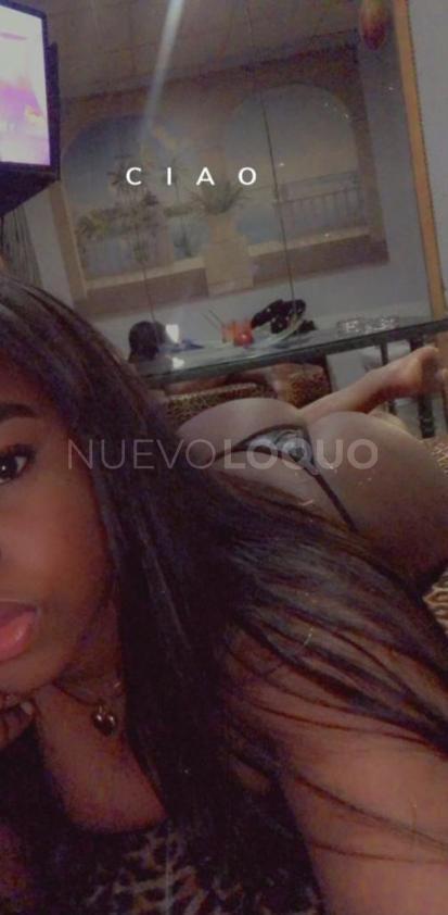 NuevoLoquo4