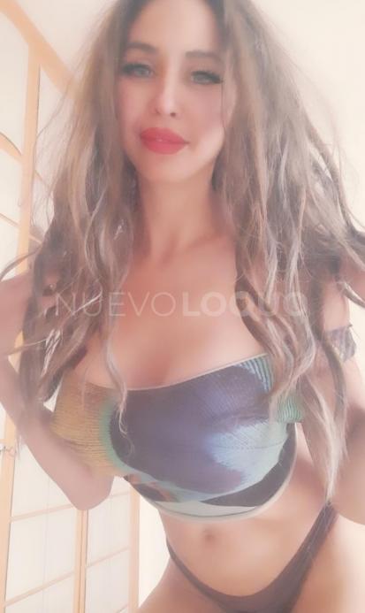 NuevoLoquo1