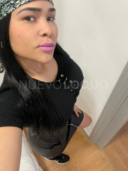 NuevoLoquo5