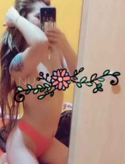  Casa nueva, las dulces gatas de Cubelles