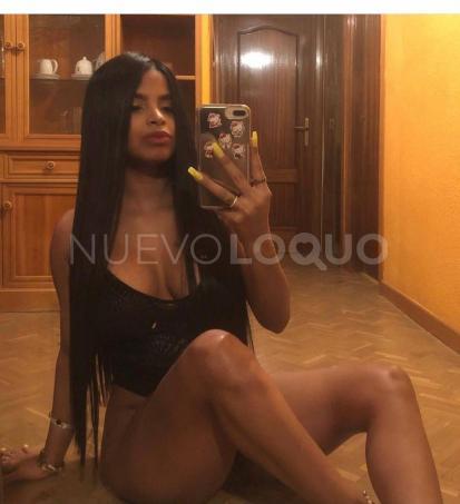 NuevoLoquo2