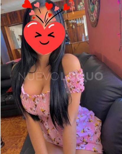 NuevoLoquo3