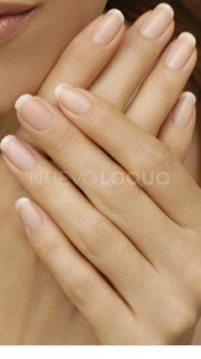 NuevoLoquo3