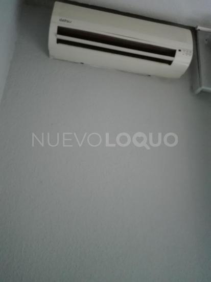 NuevoLoquo5