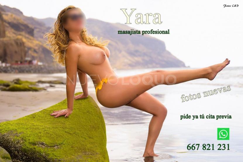 contactos pasion