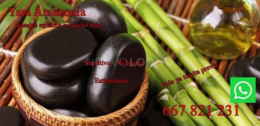 NuevoLoquo3