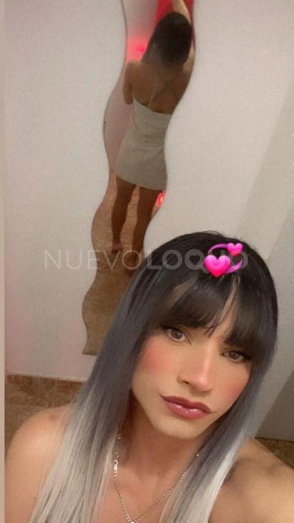 NuevoLoquo3