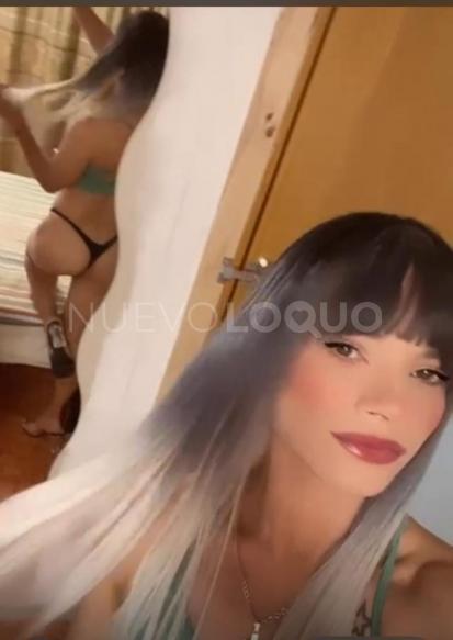 NuevoLoquo4