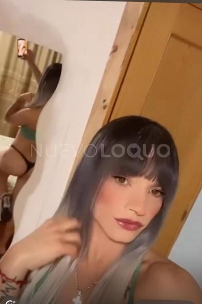 NuevoLoquo5