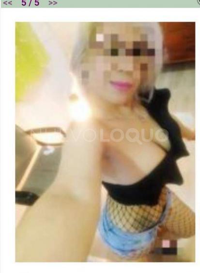 NuevoLoquo2