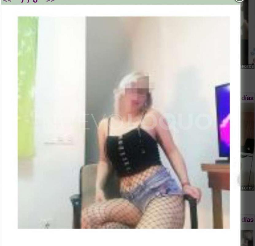 NuevoLoquo3