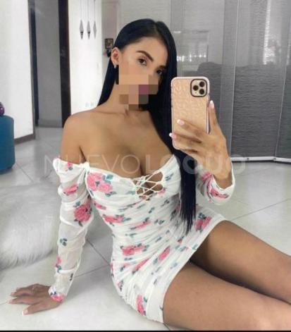 NuevoLoquo4