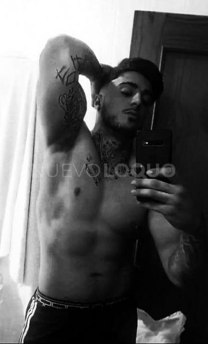 NuevoLoquo2