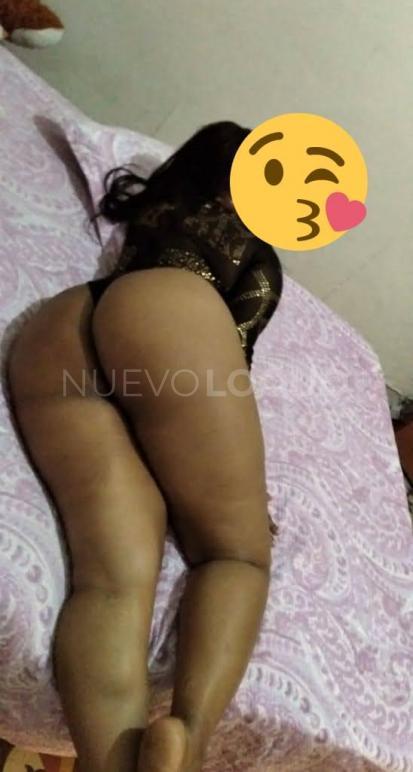 NuevoLoquo1