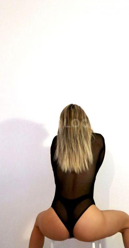 NuevoLoquo3