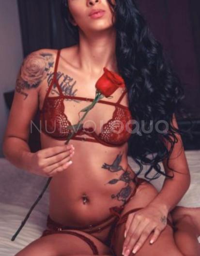 NuevoLoquo1
