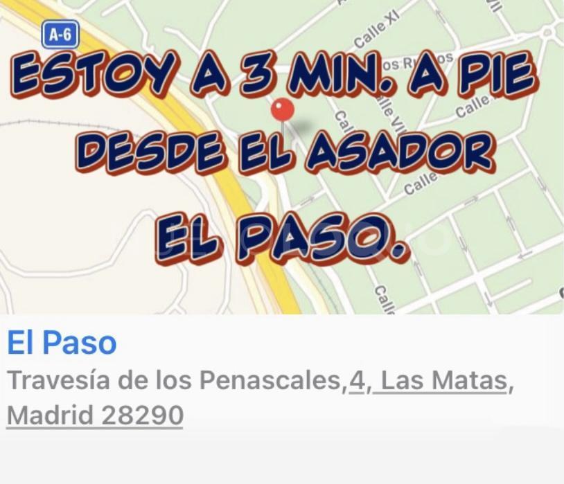 NuevoLoquo3