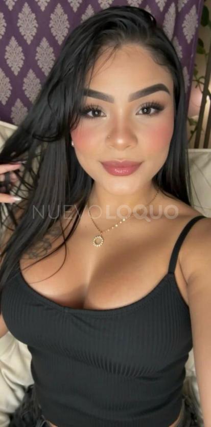 NuevoLoquo3