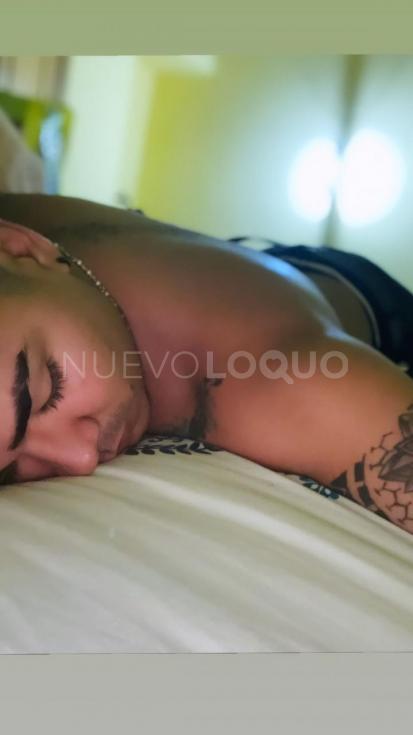 NuevoLoquo3