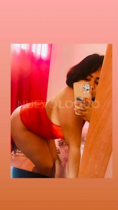 NuevoLoquo3