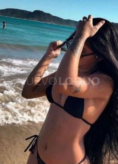 NuevoLoquo2