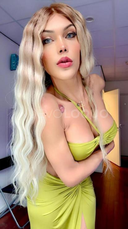 NuevoLoquo3